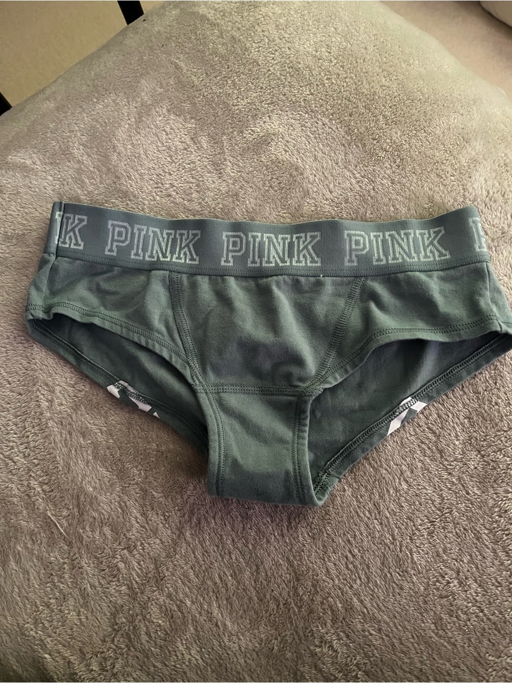 PINK Teal Hipster Briefs with Pink Logo Tag